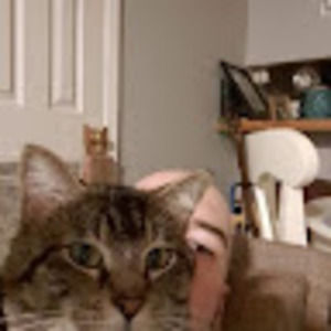 Meet your Posher, Joshua